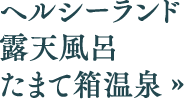 ヘルシーランド 露天風呂 たまて箱温泉