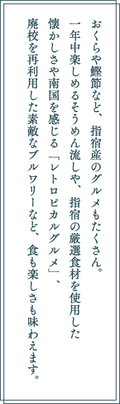 おくらや鰹節など、指宿産のグルメもたくさん。一年中楽しめるそうめん流しや、指宿の厳選食材を使用した懐かしさや南国を感じる「レトロピカルグルメ」、廃校を再利用した素敵なブルワリーなど、食も楽しさも味わえます。
