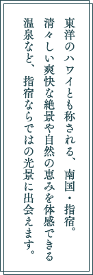 東洋のハワイとも称される、南国・指宿。清々しい爽快な絶景や自然の恵みを体感できる温泉など、指宿ならではの光景に出会えます。